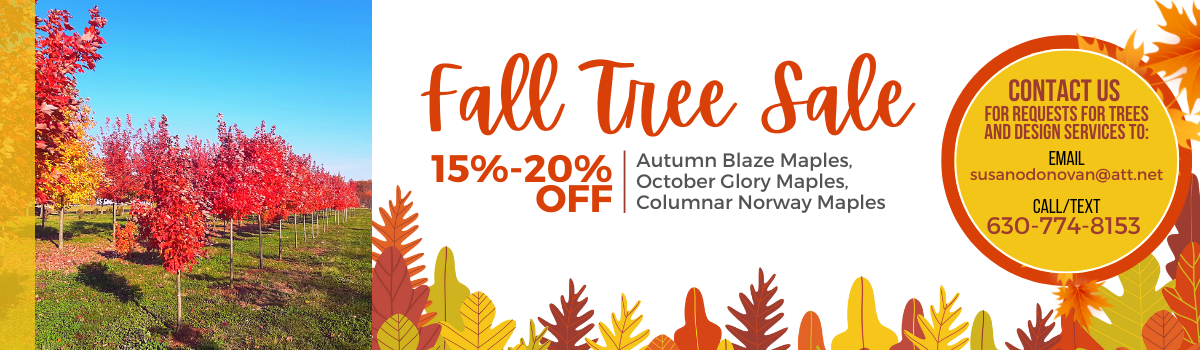 Fall Tree Sale
